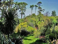 131 Ile de Batz Jardin Georges Delaselle_000015